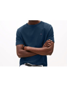 Tommy Hilfiger T-shirt In Cotone 2