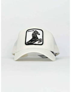 Cappello Goorin Bros Cavallo 2