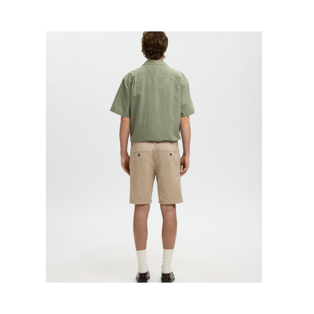 Chino  Corti Selected

16092329MOREL